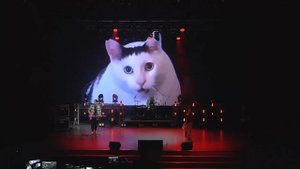 ХОЛЛИ ТЕЙПС - БЕСИШЬ! | BIG & LIVE
