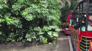 Китай. Гуанчжоу. Зоопарк, часть 3.