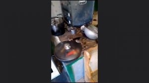 Мыши и крысы на СВО. Ужас.