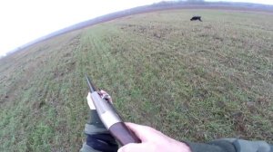 Охота на куропаток ноябрь 2022 года.