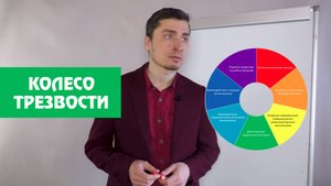 Колесо трезвости. 8 сфер для проработки