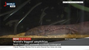 BBC World News: IMPACT | 12:00 GMT | 17 Sep 2019 | J WORLD TV