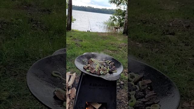 На рыбалке если жареные грибочки  с картошкой , то только так.