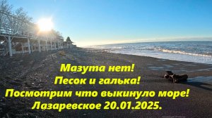 Мазута нет! Что выкинуло море? Песок или галька??? Лазаревское , погода 20.01.2025.