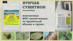 Нунчак и Сумитион - контактные средства против вредителей яблони и груши. Обзор ФОС инсектицидов