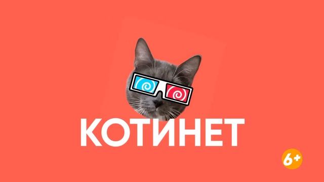 Котинет - Валерий Полосатиков