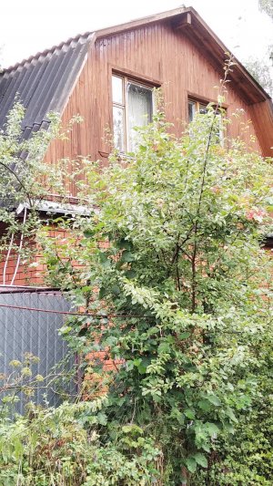 VID-20241027-WA0005