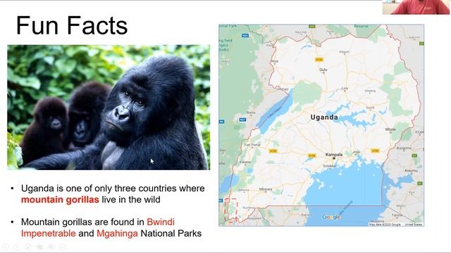 Uganda by Tobias Oker смотреть онлайн