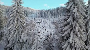 5598973-uhd_3840_2160_30fps