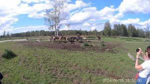 Костромской вояж. Часть 9. КМК.