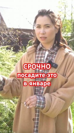 НЕЛЬЗЯ НЕ СДЕЛАТЬ ЭТО в самом начале года