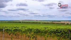 Фильм Краснодарский край – Наследие Боспорского царства