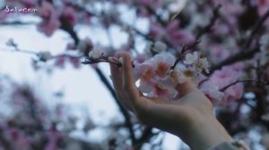 Евгений Дятлов – Нiч яка мiсячна