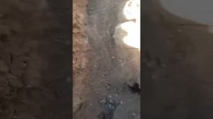 Мучение в могиле