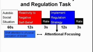 Cognitive Neuroscience of Mindfulness Meditation