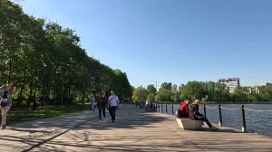 Узнав о беременности, ждала мужа из командировки, чтобы обрадовать… Но от поступка свекрови обомлел