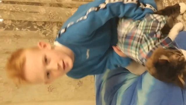 Одеть кота