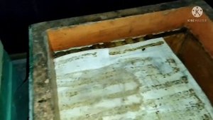 Пчелы в декабре. Зимовка пчел 21 -22г. Месяц спустя!