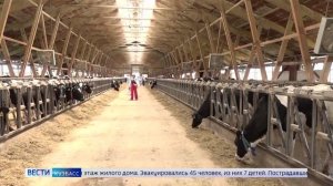 Россельхознадзор_Встреча с Губернатором Кемеровской области-Кузбасса_ГТРК-Кузбасс_16.01.2025