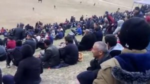 Буз каши дар н Ч балхй калхозобод Кисми 2  бо давомша интизор шавед бародаро