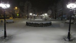 3534876-hd_1920_1080_24fps