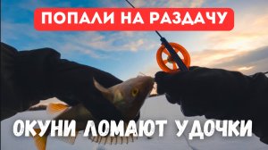 ВОТ ЭТО РАЗДАЧА!!! ОКУНИ ЛОМАЮТ УДОЧКИ. Зимняя рыбалка на балансир.