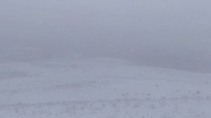 YouCut_20250119_174247060.mp4