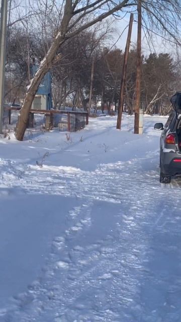 DL Audio Gryphon Pro 250 Midbass + DL Audio Raven 250 #automobile #subwoofer #тюкалинск #bass #dl смотреть онлайн