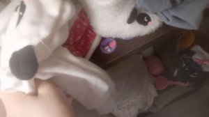 VID_20250120_163655.mp4