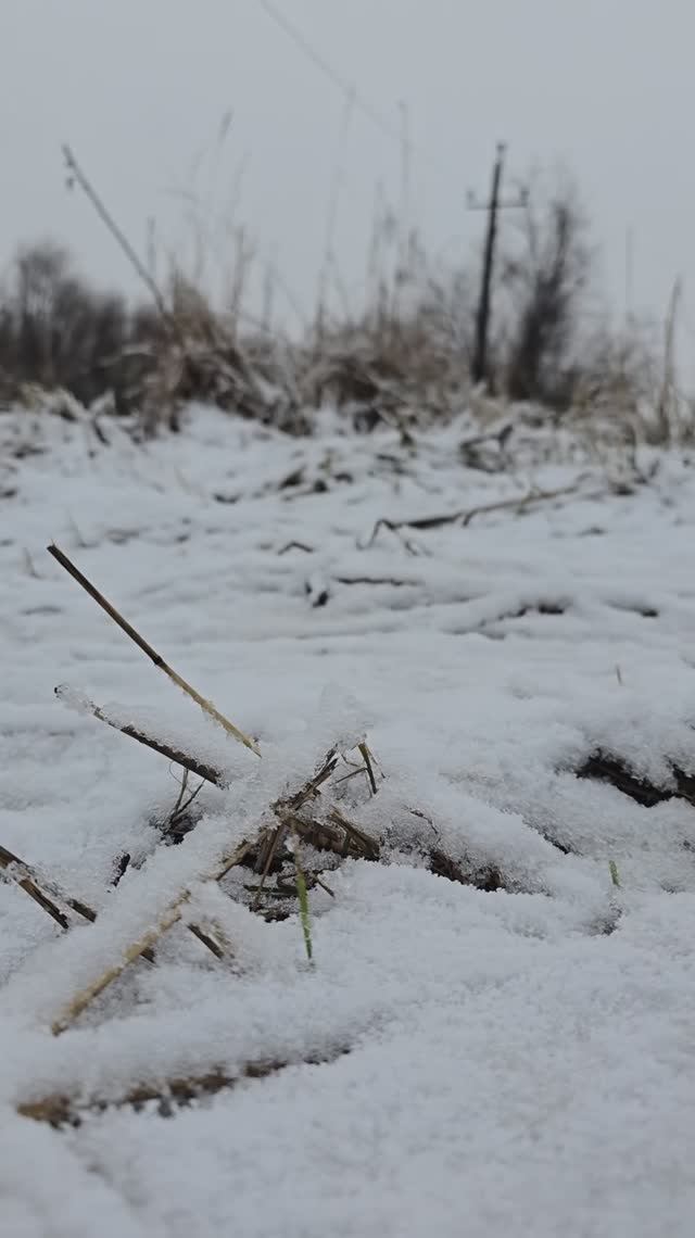 Зима 2025 ❄❄❄