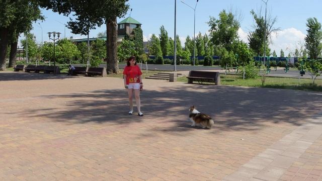 Добрые моменты 2024 года . смотреть онлайн