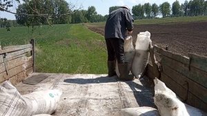 №24 Сеем: пыль, жара, вопрос? Озимые 2020