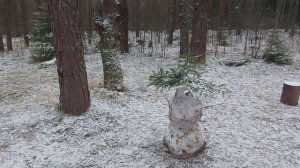 В лесу снега мало,  но на Снегурочку наскребли.