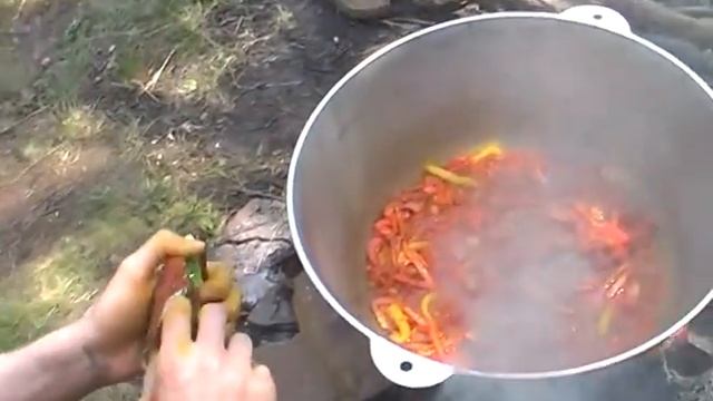 VLOG Вегетарианский плов на пикнике у друзей смотреть онлайн