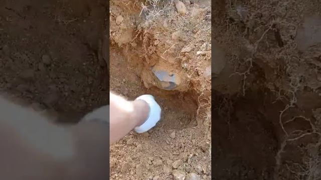 Горный хрусталь  Челябинская область Астафьевское месторождение Сезон 2023 #натуральныекамни