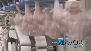 Drop. Мясное производство (мясо гуся)