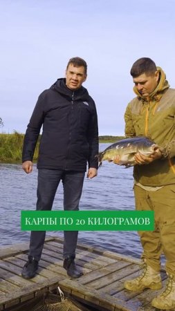 ГДЕ поймать карпа на 20 кг?  Невероятная рыбалка #рыбалка #рыбак