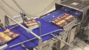 Термоформер Colimatic THERA 650 для упаковки пасты