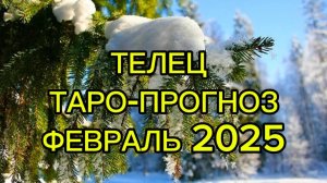 ТЕЛЕЦ/ТАРО-ПРОГНОЗ/ФЕВРАЛЬ 2025