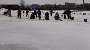 зарыбление водоема