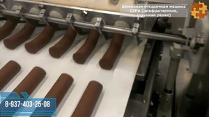 Отсадочная шнековая машина Сура для производства конфет,  творожных сырков, десертов типа Картошки