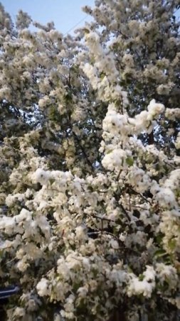 Снегопад в Самаре, 3 мая +2°C, несмотря на то, что в апреле было +28 °C