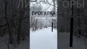 Прогулка в лесопарке Зеленограда «Лисьи горы»