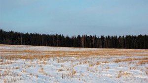 И. Никитин. Встреча зимы -2