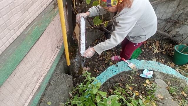 Осенняя высадка #мха дома. Ландшафтный #дизайн смотреть онлайн