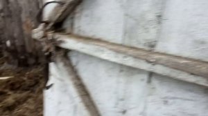 Пристраиваем сарай самым бюджетным способом №43