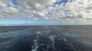 Океан 4К /У природы нет плохой погоды