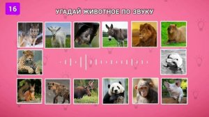 Интересный Тест. Сможете Угадать Животное по Звуку? Проверьте Себя.