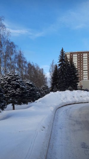 Рубрика Прогулка ❄️ 
Пойдёмте прогуляемся со мной 🌲 ❄️ 
Разговоры обо всём 🙂