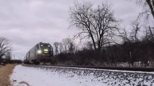 Новейший поезд Амтрак, едет на высокой скорости